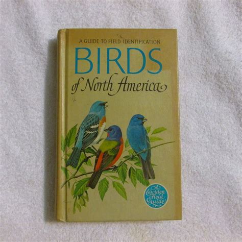 Field Guide to Airplanes of North America