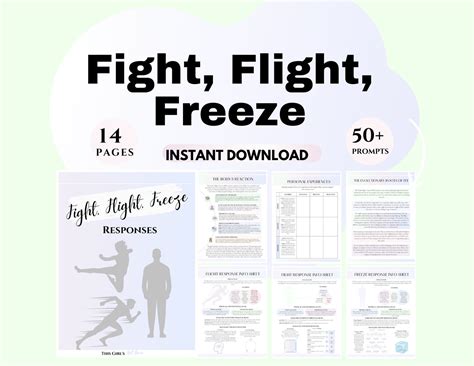 Fight Flight Freeze