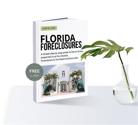 Fight Your Foreclosure in Florida
