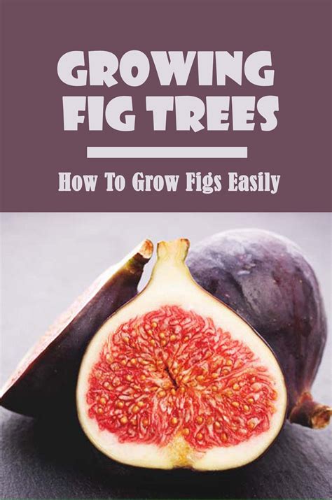 Figs