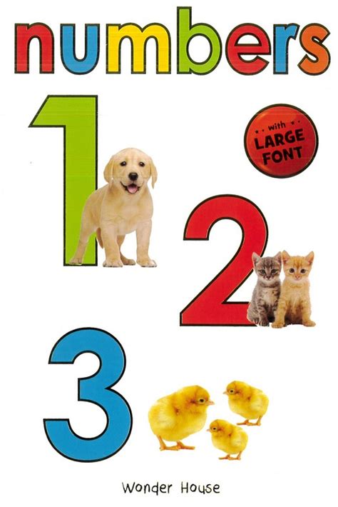 First Numbers