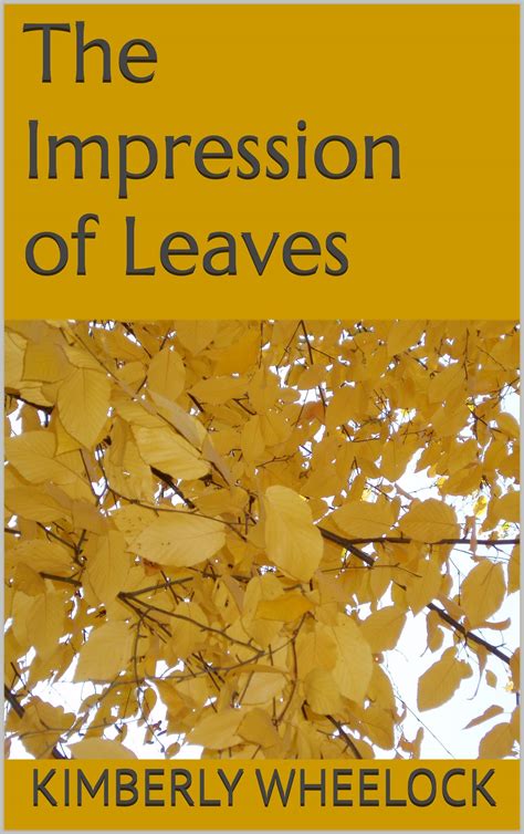 Fly Leaves
