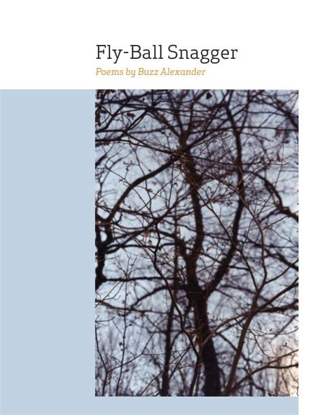 Fly-Ball Snagger