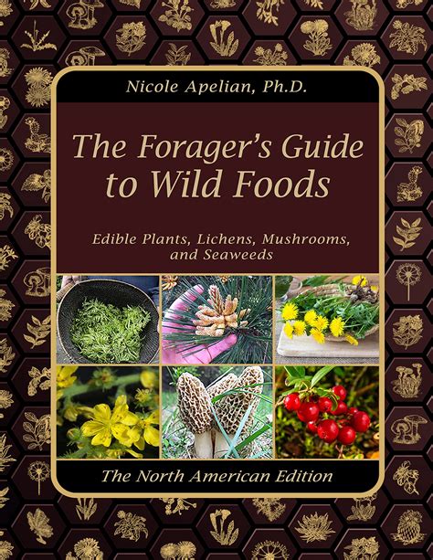 Forager #1-6