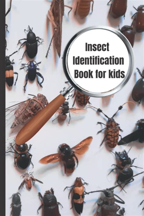 Forensic Insect Identification Cards