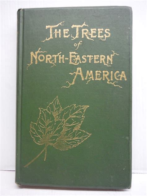 Forest Centers Of Eastern America
