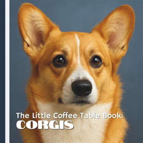 Four Little Corgis