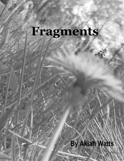 Fragments