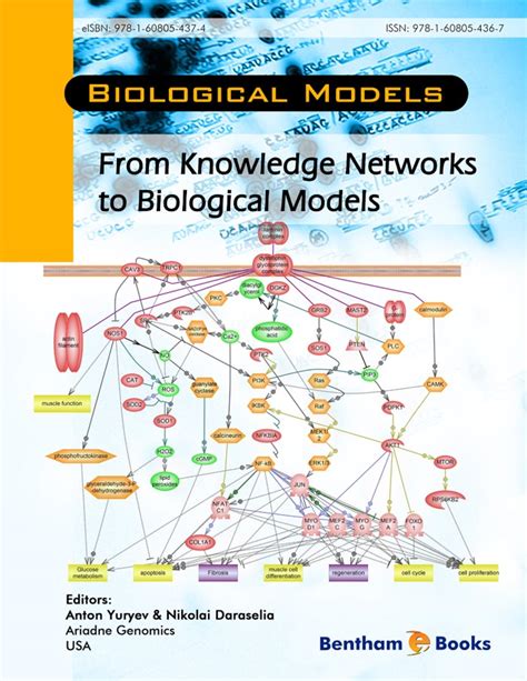From Knowledge Networks to Biological Models
