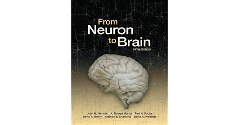 From Neuron to Brain