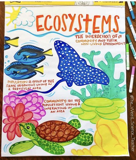 Fundamentals of Ecosystem Science