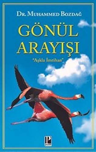 Güzergah Arayisi