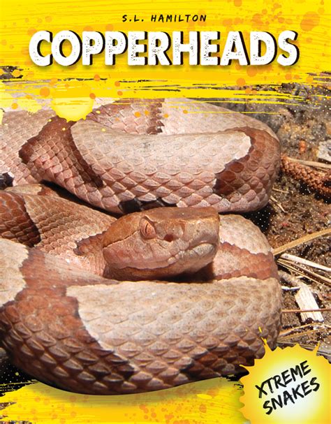 Gale Researcher Guide for: Copperheads