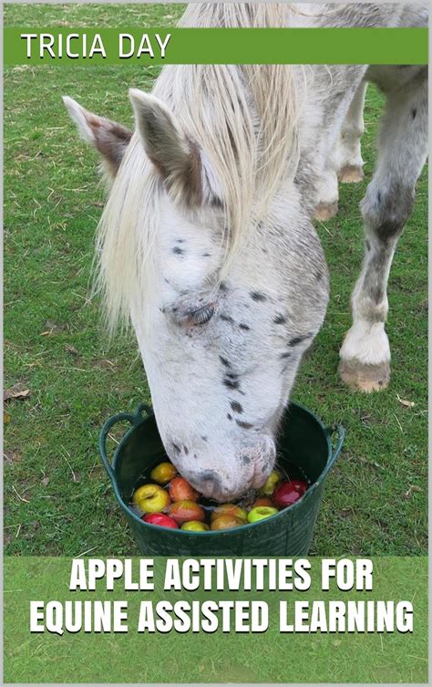 Getting Started with Equine Assisted Learning Activities