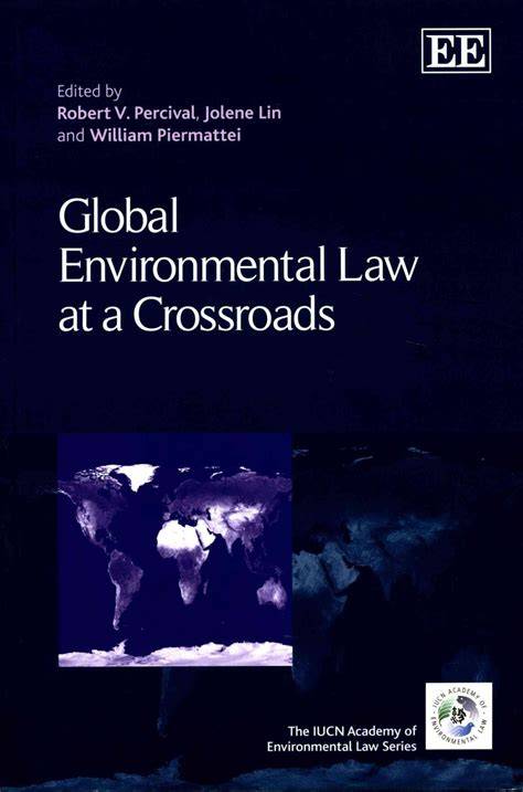 Global Environmental Law at a Crossroads