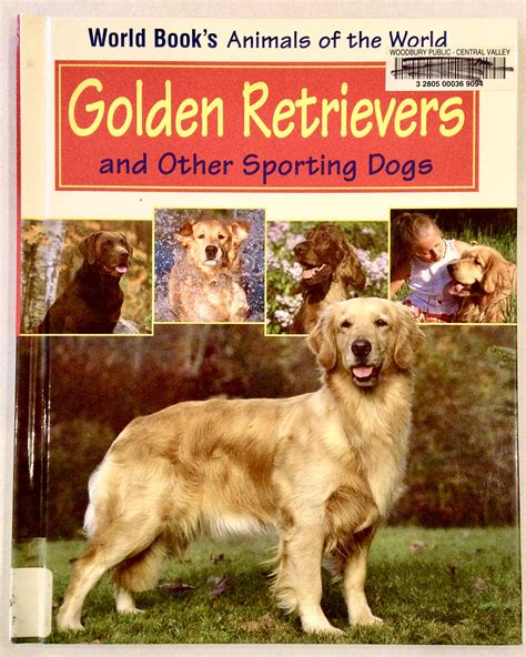 Golden Retrievers