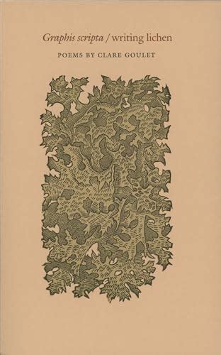 Graphis scripta / writing lichen