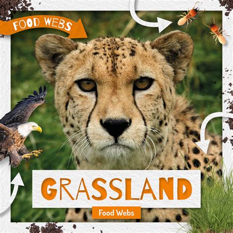 Grassland