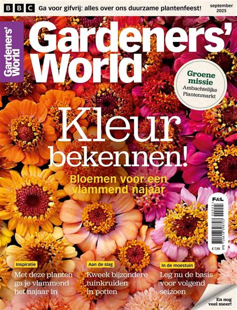 Groenten in potten