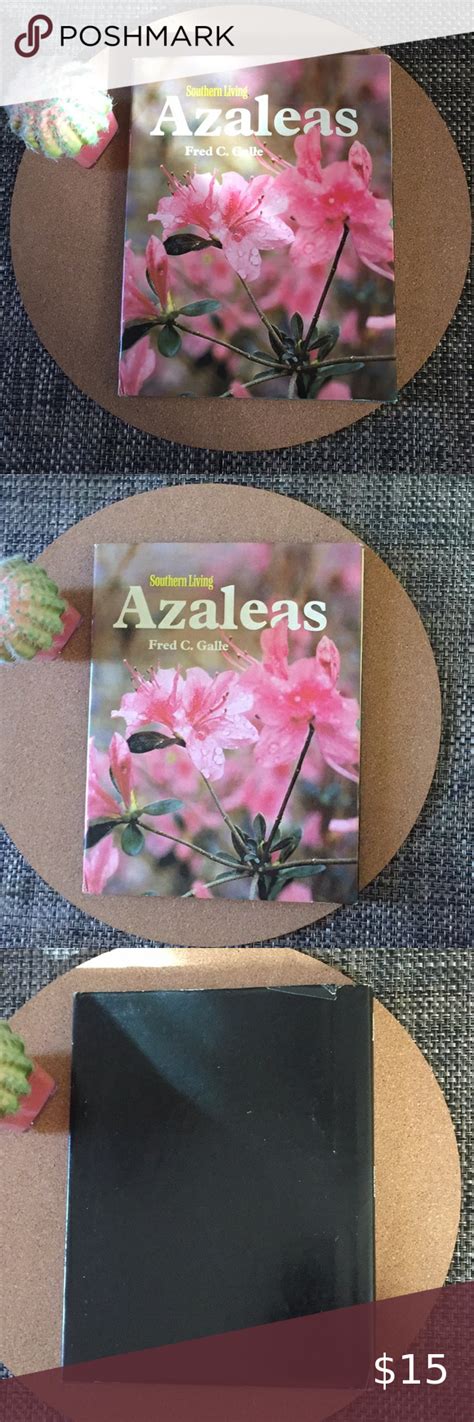 Growing Azaleas Commercially
