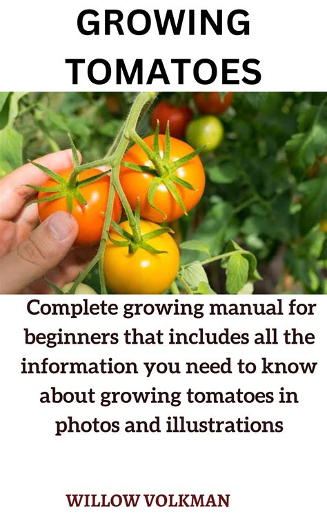 Growing Tomatoes
