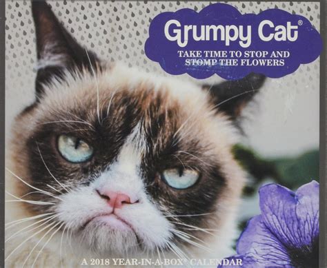 Grumpy Cat 2018 Calendar