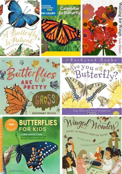 HOW TO DRAW BUTTERFLIES