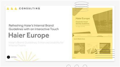 Haier terminal: Haier terminal marketing planning