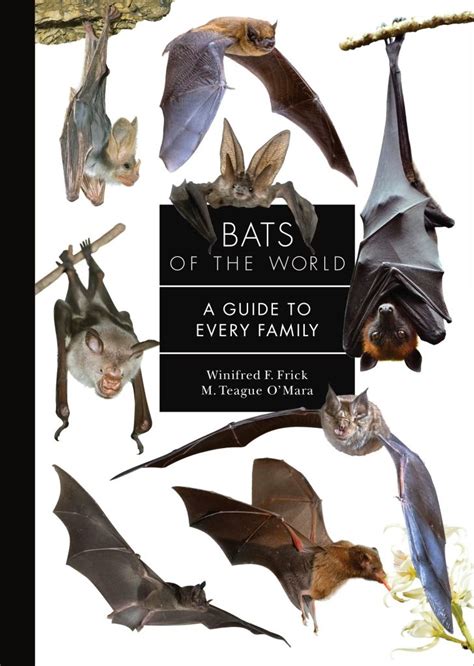 Halloween Bats Fall Recipe Book