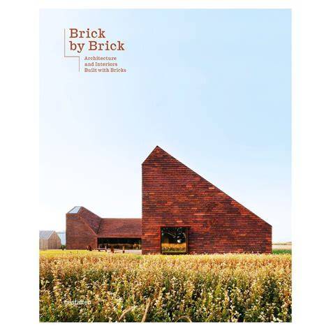 Han Ming brick essence [Paperback]