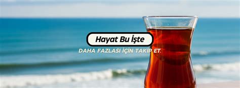 Hayat Bu Iste...