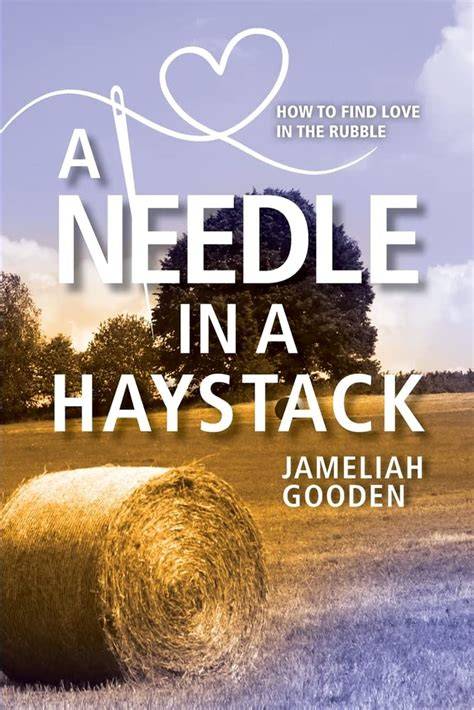 Haystack