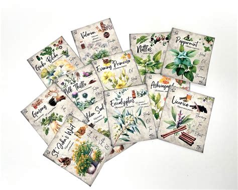 Herbal reference cards