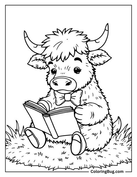 Highland Cow Flower Therapy