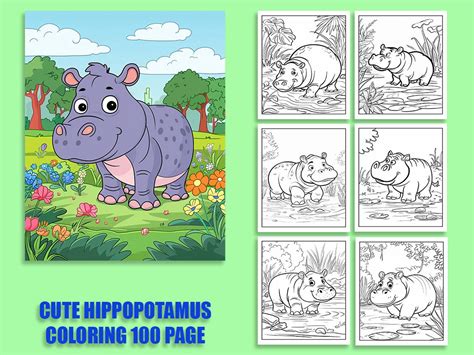 Hippo Coloring Book