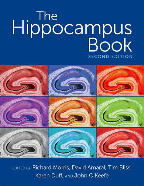 Hippocampus