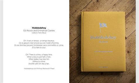 Hobbledehoy