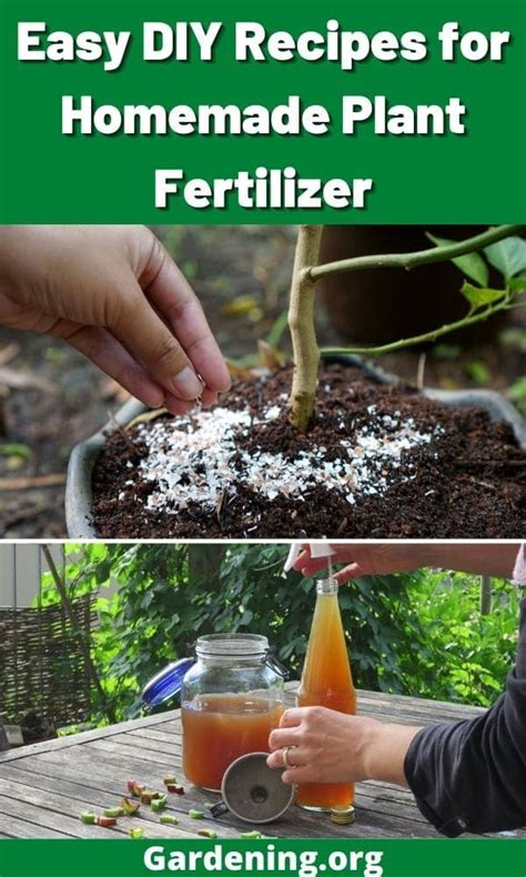 Homemade Fertilizer Recipes