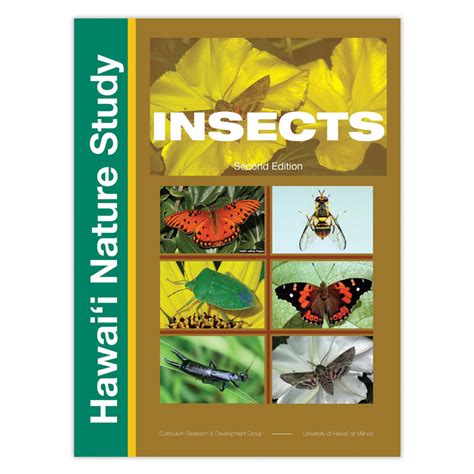 Homoptera: Auchenorphyncha : Insects of Hawaii