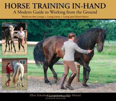 Horse Training In-Hand
