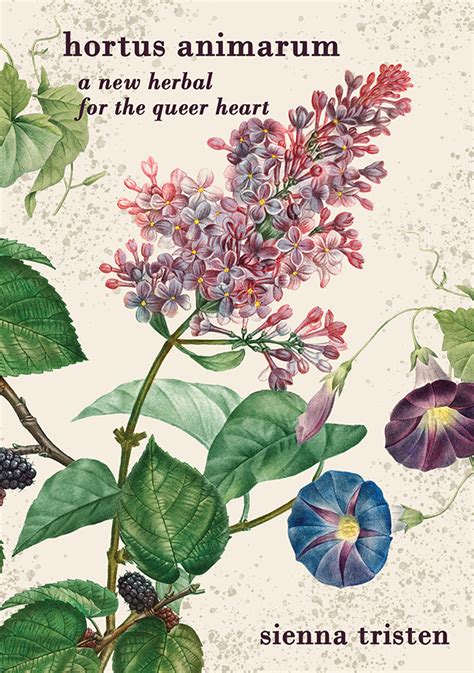 Hortus Allegoricus