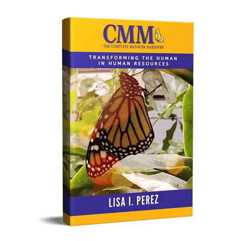 How To Implement the CMM
