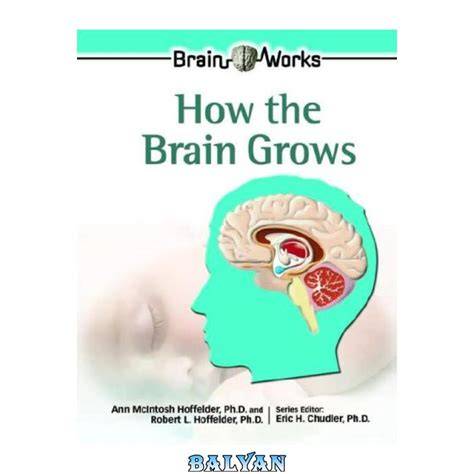 How the Brain Grows. Brain Works.