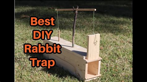 How to Build a Rabbit Box: Rabbit Trap