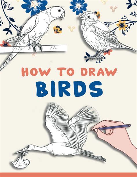 How to Draw Birds
