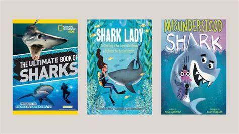 How to Drow Shark