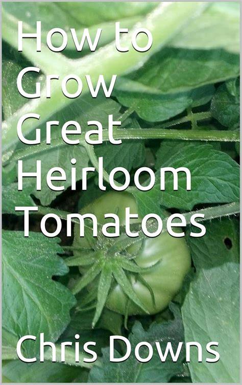 How to Grow Great Heirloom Tomatoes