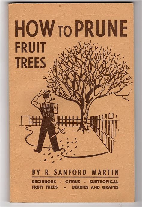 How to Prune Fruit Trees