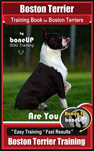 How to Train Your Boston Terrier