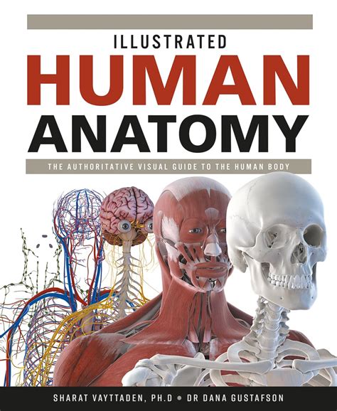 Human Anatomy experimental